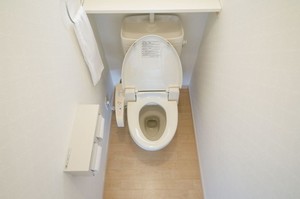 中国メディアは「細かい部分まで追求されている日本のトイレは、5平方メートルしかないのに20平方メートルもあるように見える」とする記事を掲載した。(イメージ写真提供:123RF)