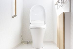 中国のポータルサイトに、中国で「これはわが国でも導入すべきだ」と賞賛されてきた日本のトイレの構造が、日本ではすでに淘汰され始めているとする記事が掲載された。(イメージ写真提供:123RF)