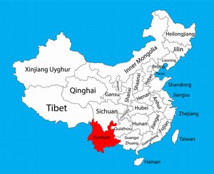  Appleはモバイルショッピングの満足度でAmazonに次いで2位にランクイン